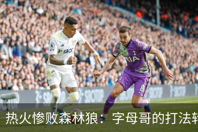 热火惨败森林狼：字母哥的打法转变令人担忧